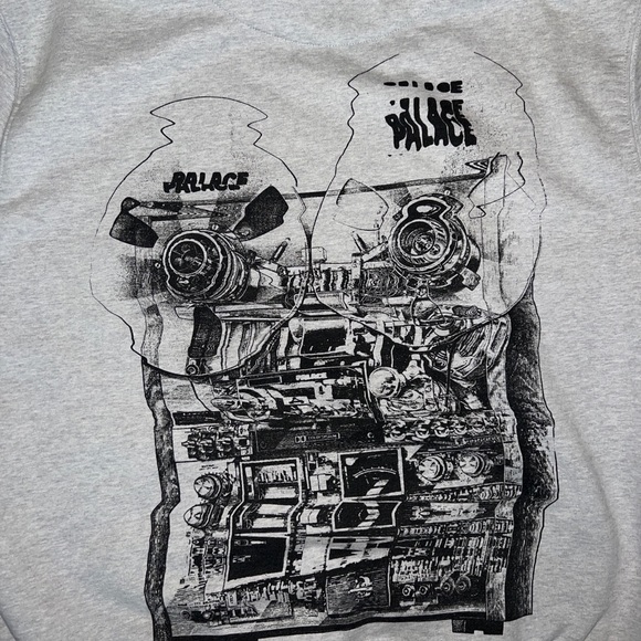 SOLD Palace Tri-Wobble Hoodie - Picture 9 of 10